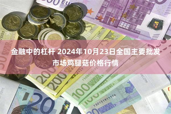 金融中的杠杆 2024年10月23日全国主要批发市场鸡腿菇价格行情