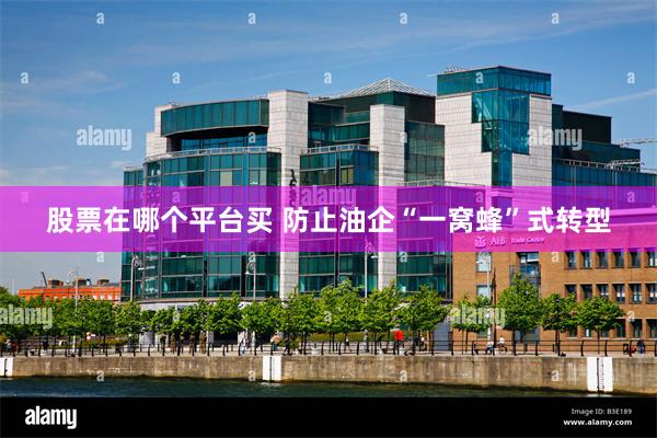 股票在哪个平台买 防止油企“一窝蜂”式转型