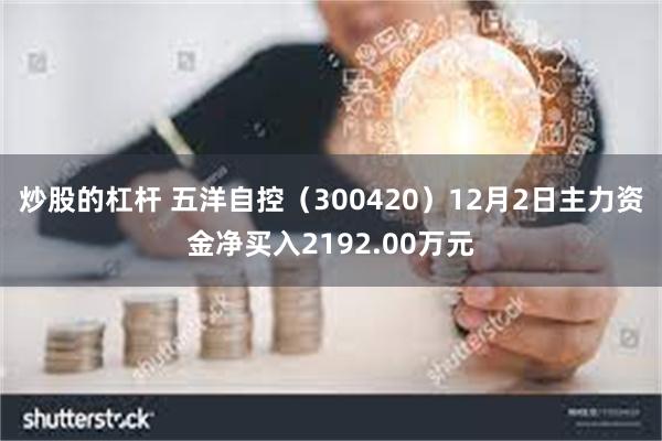 炒股的杠杆 五洋自控(300420)12月2日主力资金净买入2192.00万元