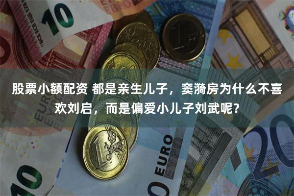 股票小额配资 都是亲生儿子，窦漪房为什么不喜欢刘启，而是偏爱小儿子刘武呢？