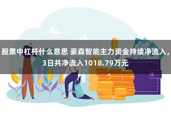 股票中杠杆什么意思 豪森智能主力资金持续净流入,3日共净流入1018.79万元
