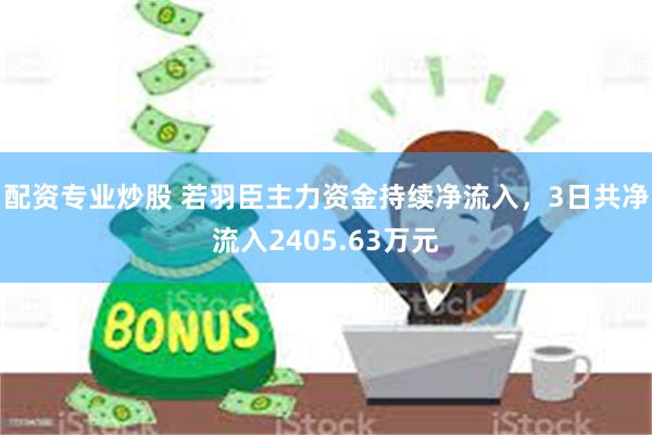 配资专业炒股 若羽臣主力资金持续净流入，3日共净流入2405.63万元