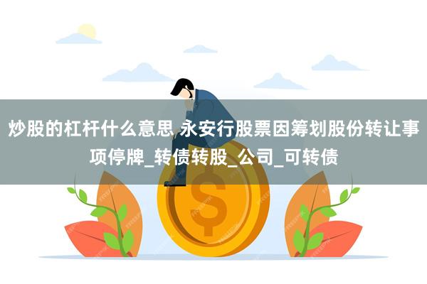 炒股的杠杆什么意思 永安行股票因筹划股份转让事项停牌_转债转股_公司_可转债