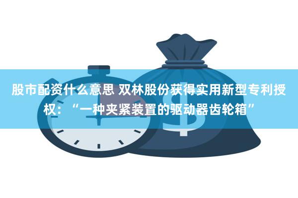 股市配资什么意思 双林股份获得实用新型专利授权:“一种夹紧装置的驱动器齿轮箱”
