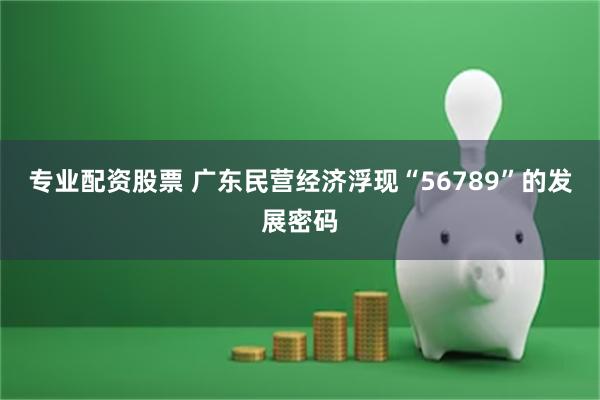 专业配资股票 广东民营经济浮现“56789”的发展密码