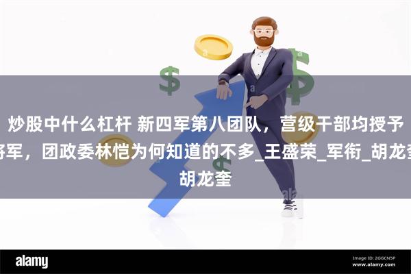 炒股中什么杠杆 新四军第八团队，营级干部均授予将军，团政委林恺为何知道的不多_王盛荣_军衔_胡龙奎