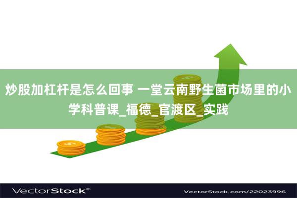 炒股加杠杆是怎么回事 一堂云南野生菌市场里的小学科普课_福德_官渡区_实践